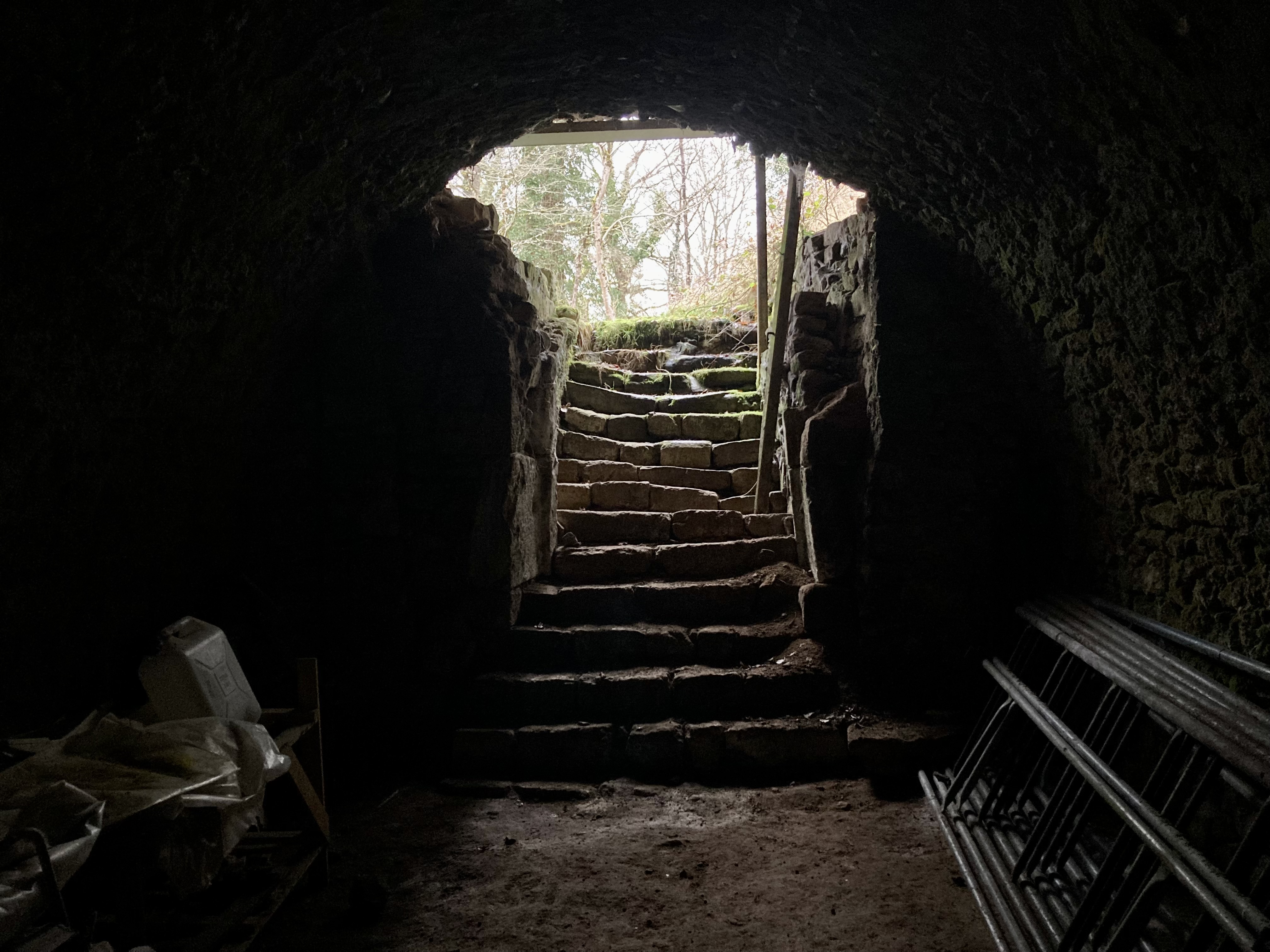 Cave voûtée en forêt
